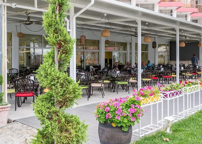 Flamingo Beach Hotel Сонячний Берег